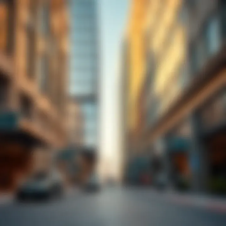 Insightful market trends and investment potential of Centro Karama