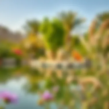 Biodiversity Around Al Qudra Love Lake Diverse flora and fauna around Love Lake showcasing biodiversity