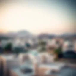 A panoramic view of Al Qurm Al Sharqi showcasing its unique architectural landscape