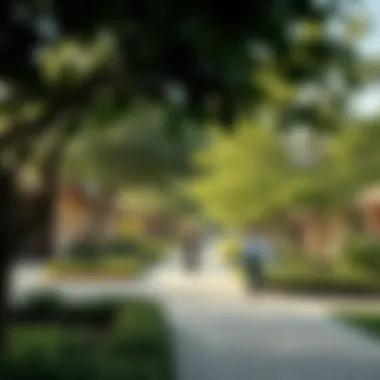 Community Life in Jumeirah Circle Village Lush green spaces and vibrant community life in Jumeirah Circle Village