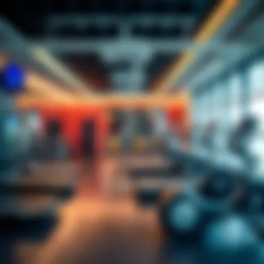 State-of-the-Art Fitness Center in Rashidiya Fitness center amenities in Rashidiya