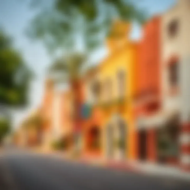 A vibrant street view showcasing Rashidiya's unique architecture and appeal.