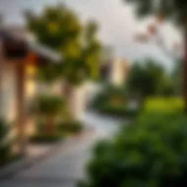 A serene residential neighborhood within Alquoz featuring lush greenery