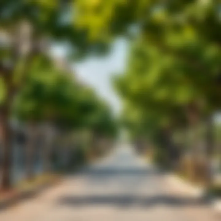 Maple-lined streets contributing to community well-being