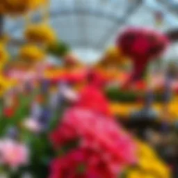 A breathtaking view of the floral arrangements in Miracle Garden