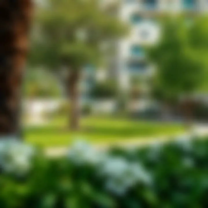 Community park in a Dubai neighbourhood