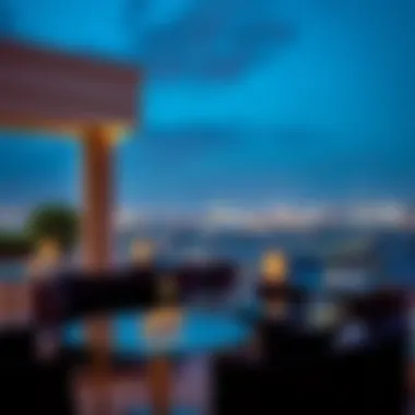 Panoramic Views from The Residences Breathtaking view from the terraces of The Residences