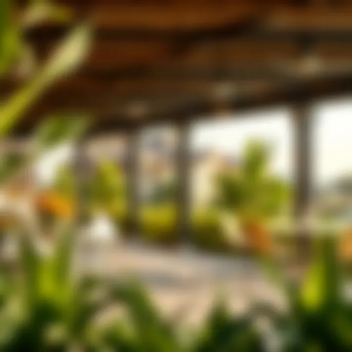 Amenities available in the Villanova community